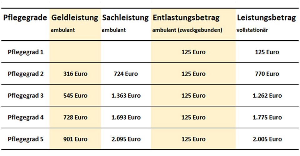 Die Leistungen der Pflegeversicherung Die Leistungen der Pflegeversicherung